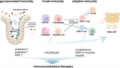 Latent Autoimmune Diabetes in Adults (LADA): From Immunopathogenesis to Immunotherapy